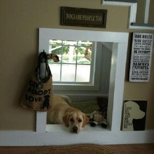Indoor Dog House