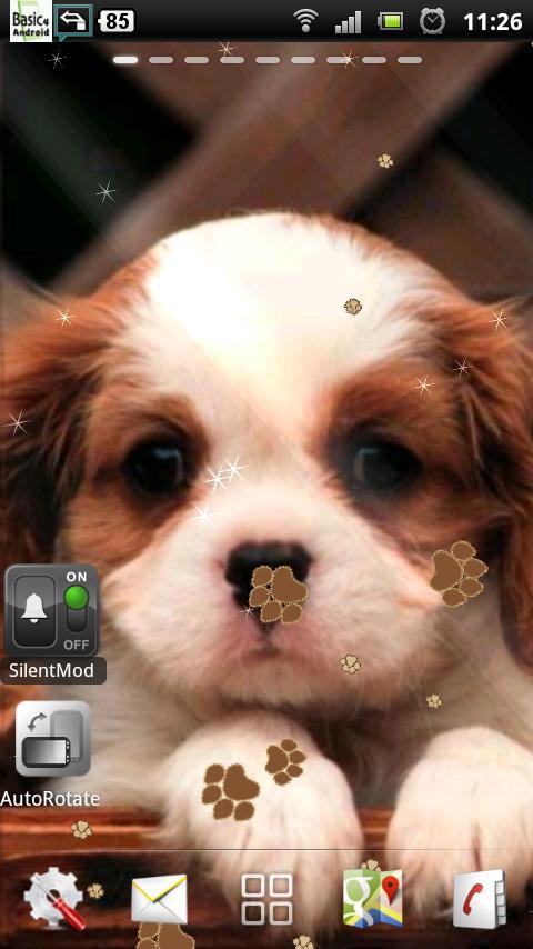 puppy dog live wallpaper