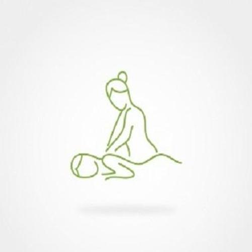 Body Massager Pro (Vibration)