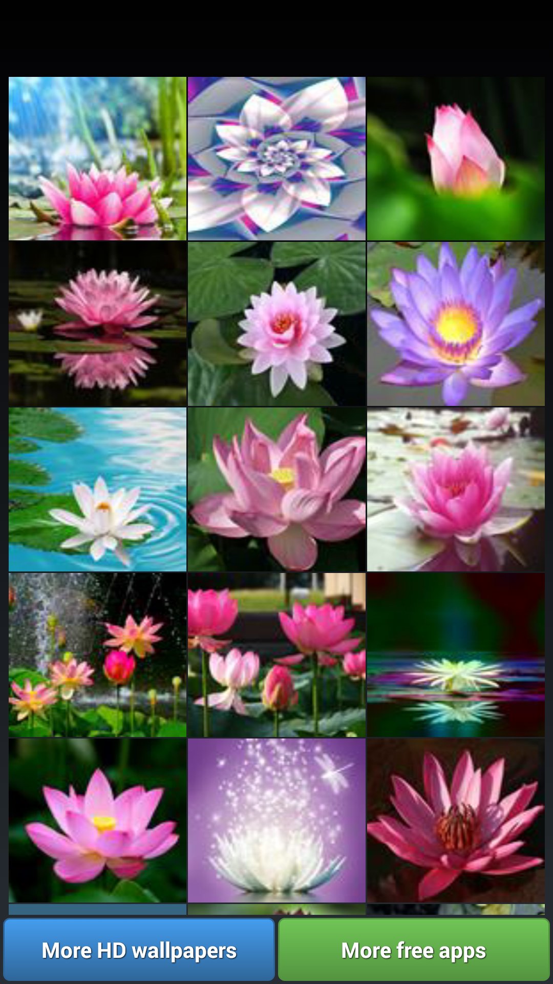 Lotus Flower Wallpapers