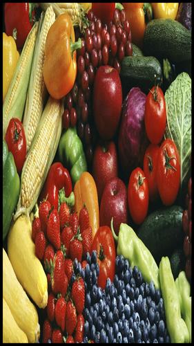 1500+ Hindi Recipes