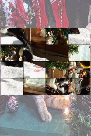Christmas Cats Puzzle